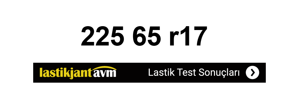 225 65 r17 Lastik Test Sonuçları